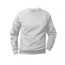 Plain Sweatshirt