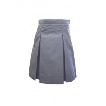 Light Blue Skirt